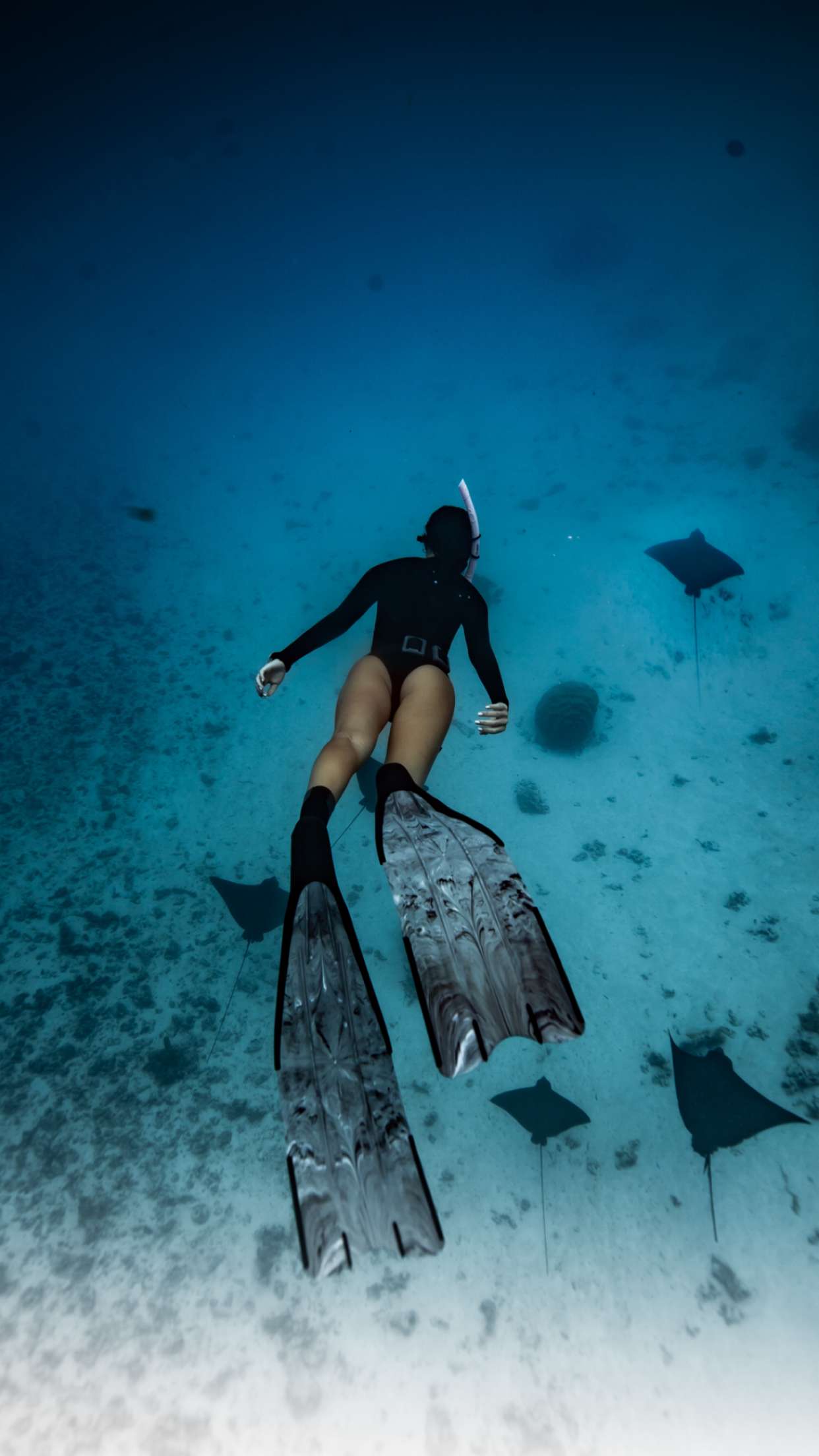 chloerosenbaum snapchat image archive image