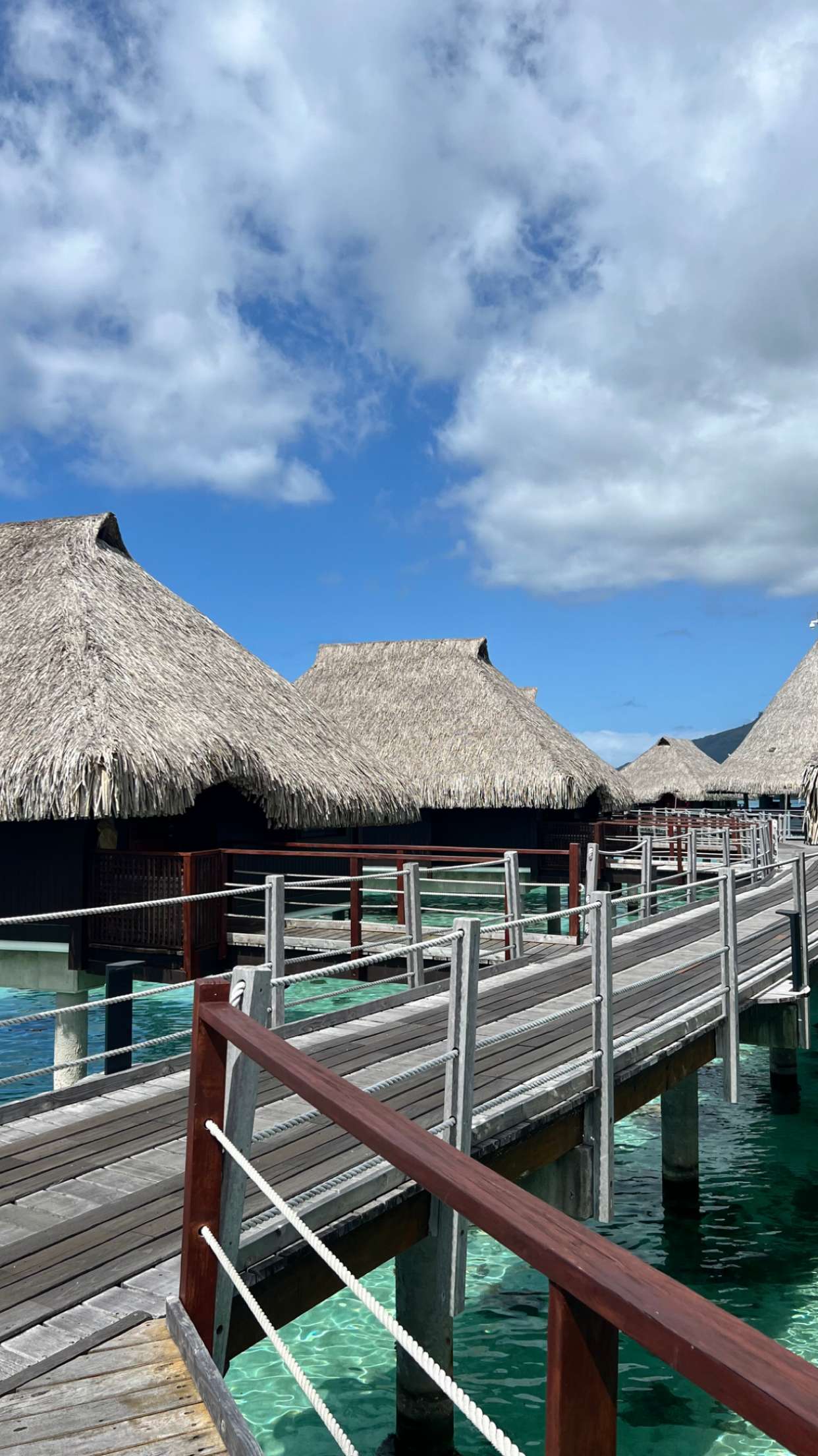 chloerosenbaum snapchat image archive image