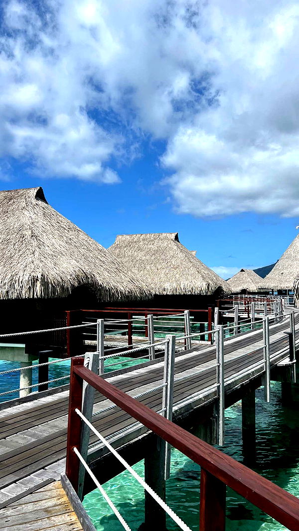 chloerosenbaum image ~ Altpins