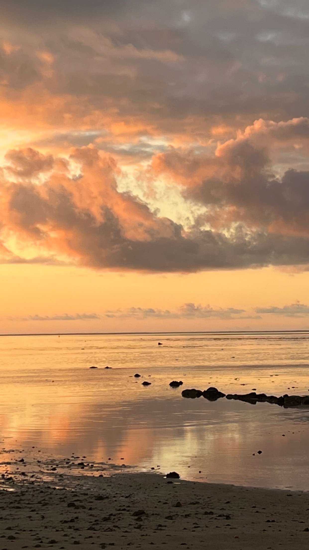 chloerosenbaum snapchat image archive image