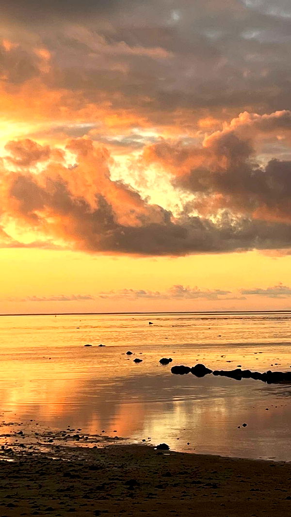 chloerosenbaum image ~ Altpins