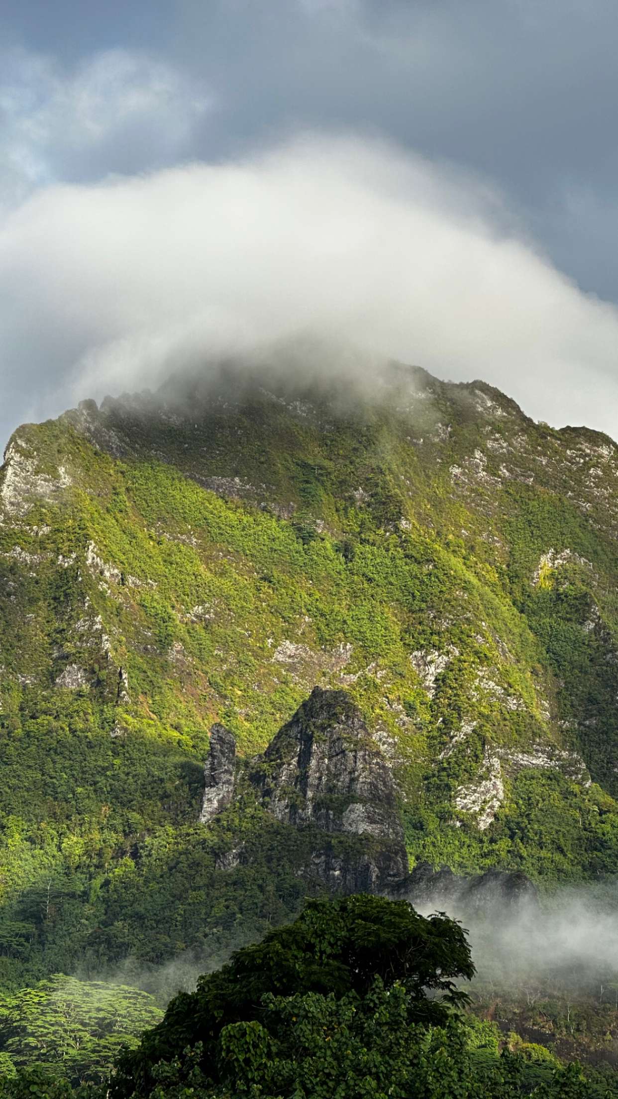 chloerosenbaum snapchat image archive image