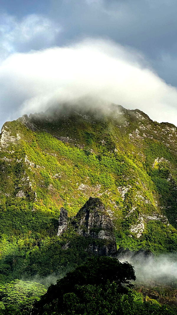 chloerosenbaum image ~ Altpins