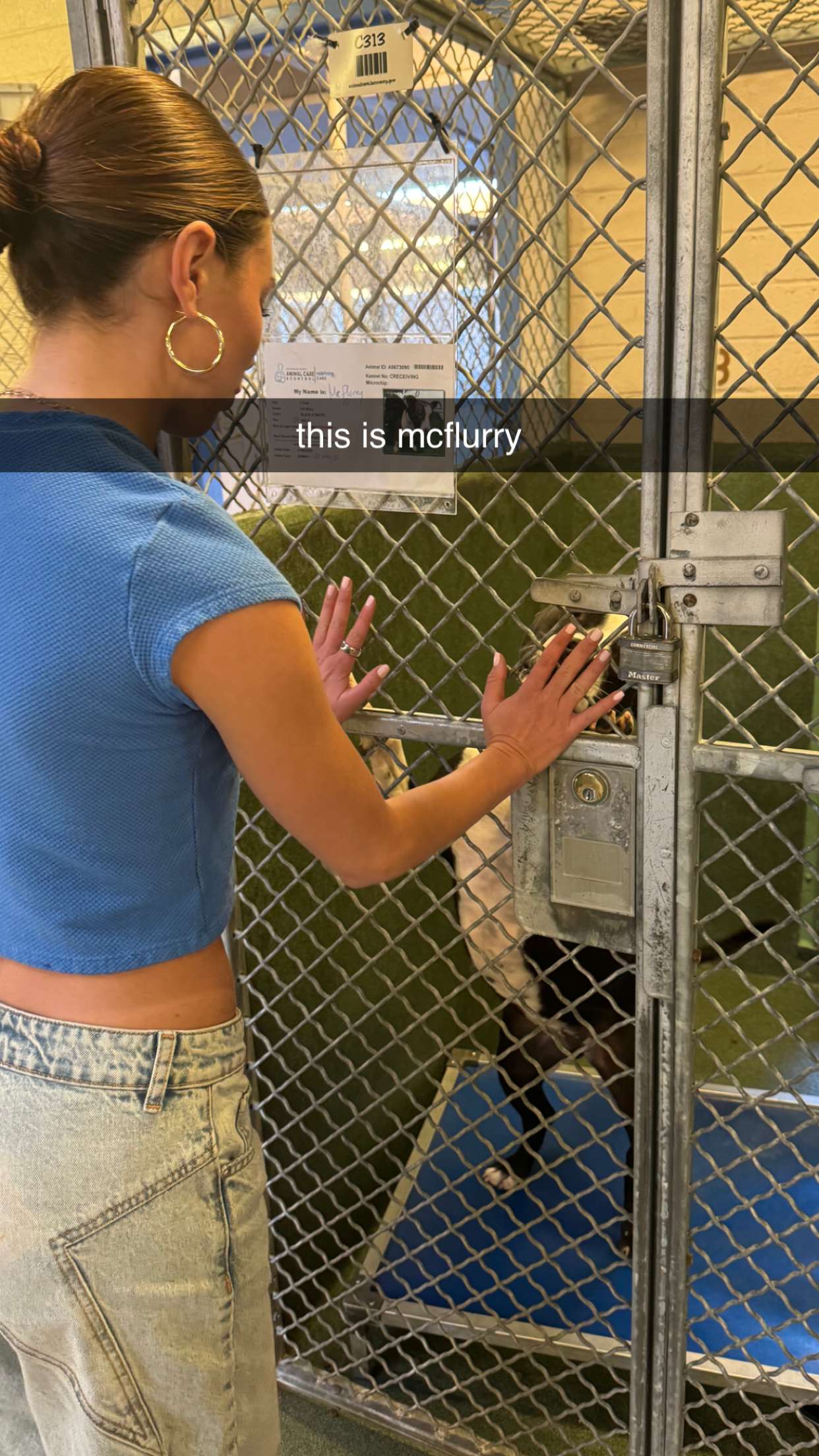 chloerosenbaum snapchat image archive image