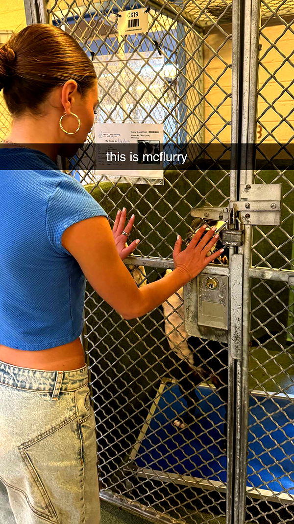 chloerosenbaum image ~ Altpins