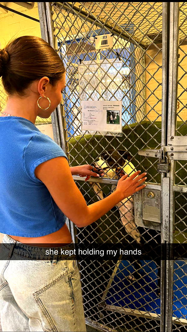 chloerosenbaum image ~ Altpins