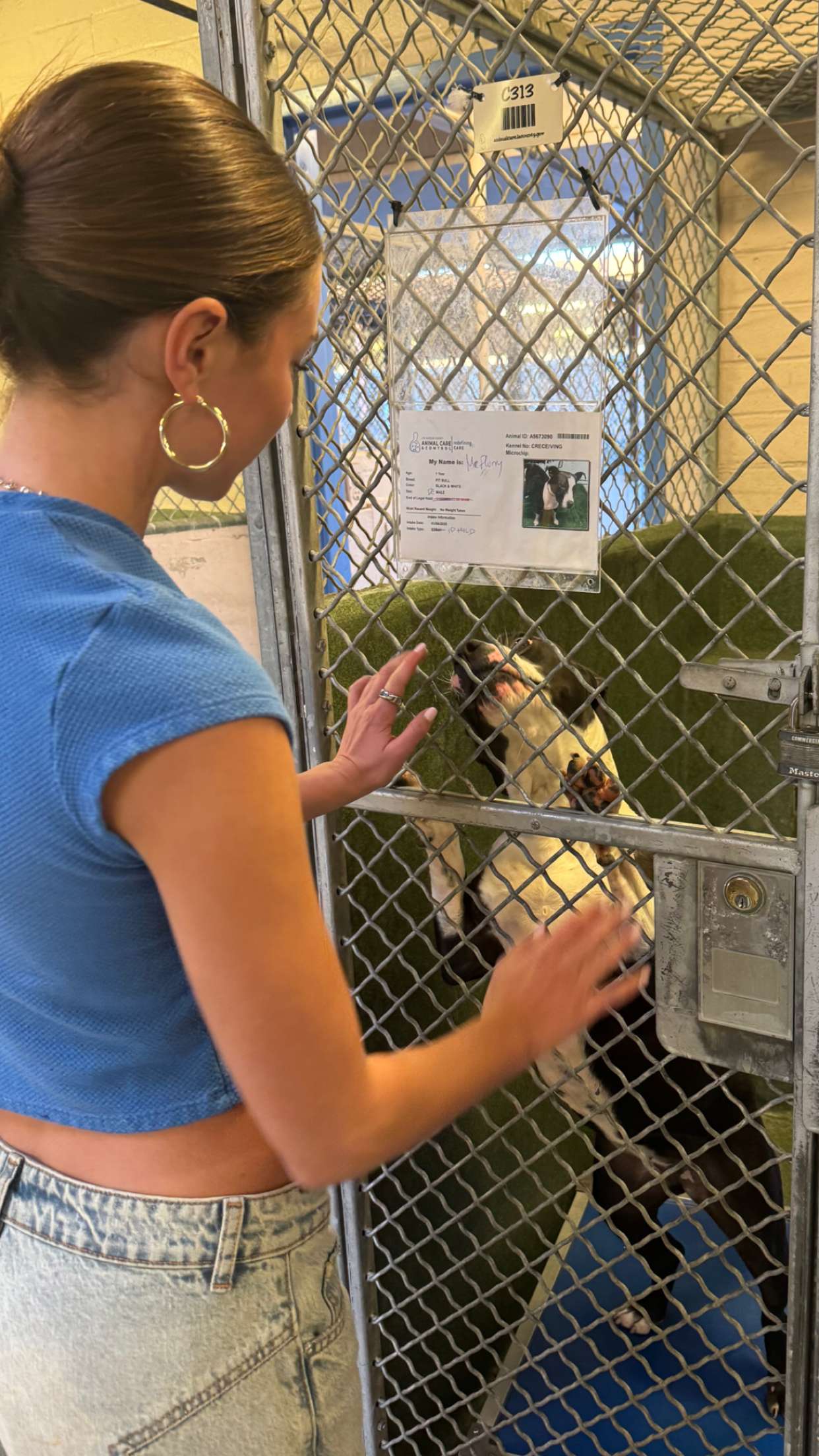 chloerosenbaum snapchat image archive image