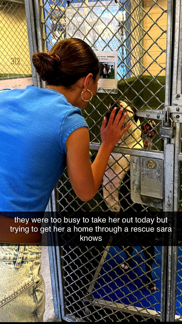 chloerosenbaum image ~ Altpins