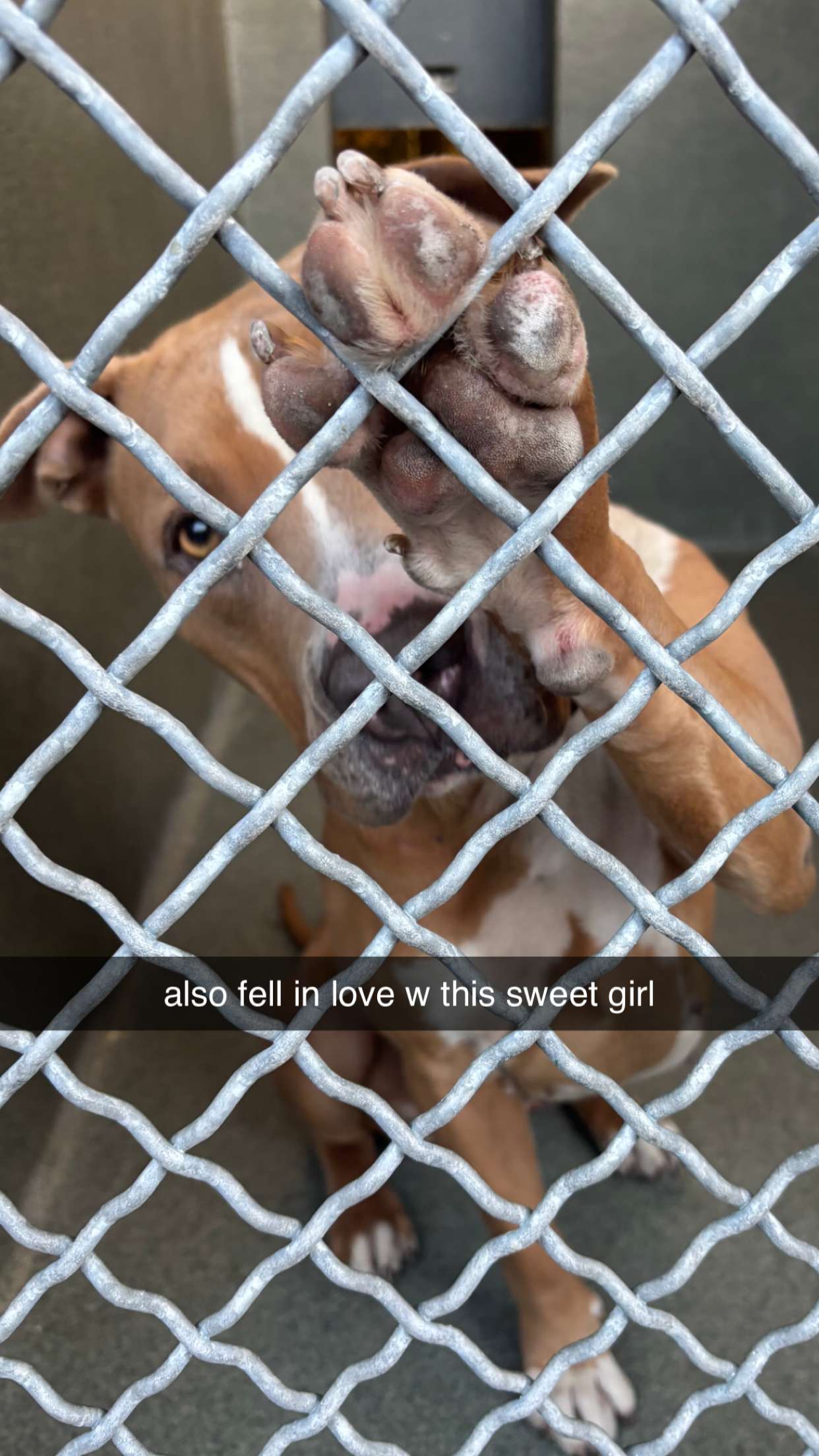 chloerosenbaum snapchat image archive image