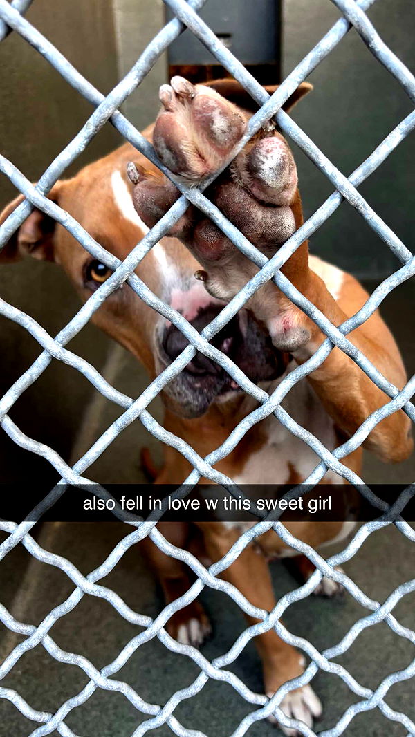 chloerosenbaum image ~ Altpins