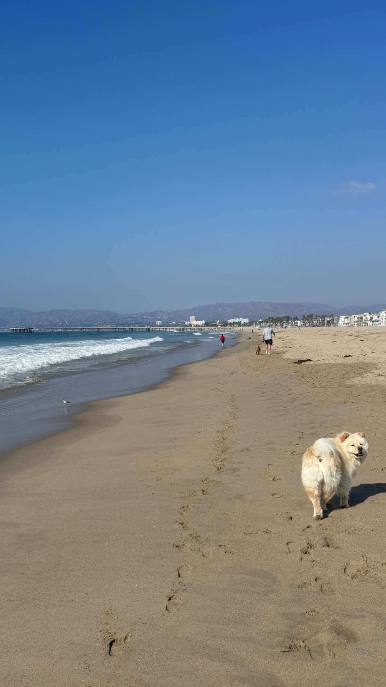 chloerosenbaum snapchat image archive image