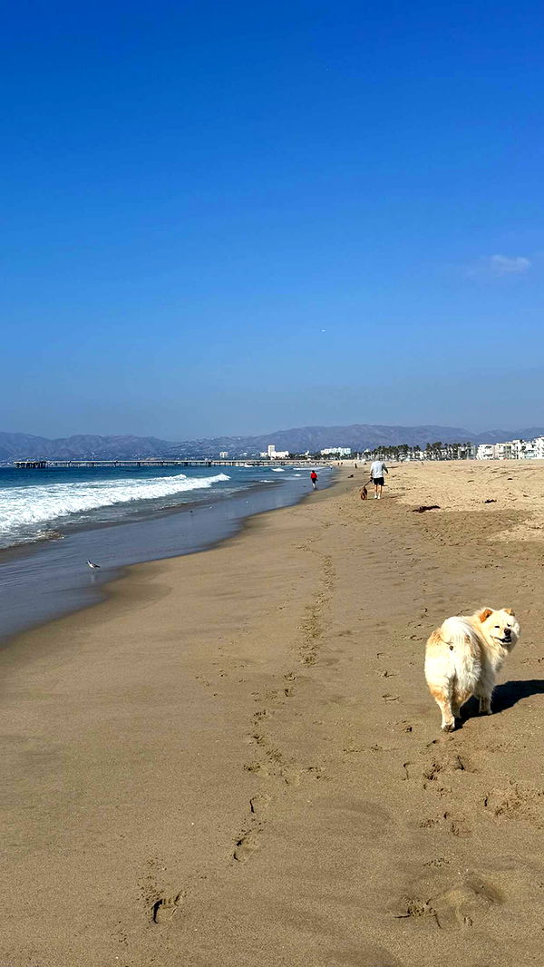 chloerosenbaum image ~ Altpins