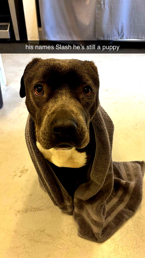 chloerosenbaum image ~ Altpins