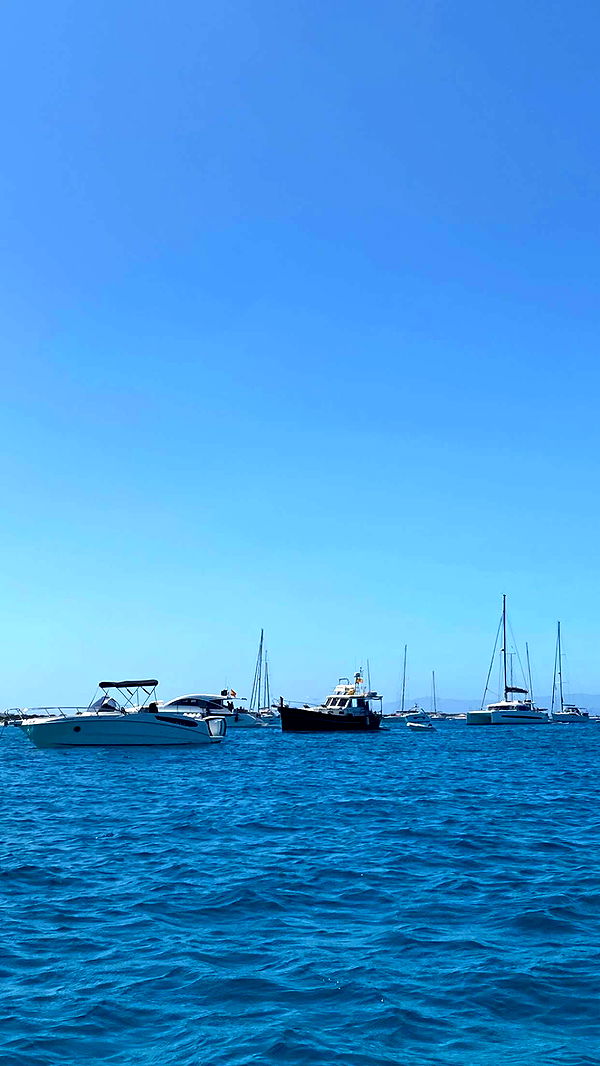 chloerosenbaum image ~ Altpins