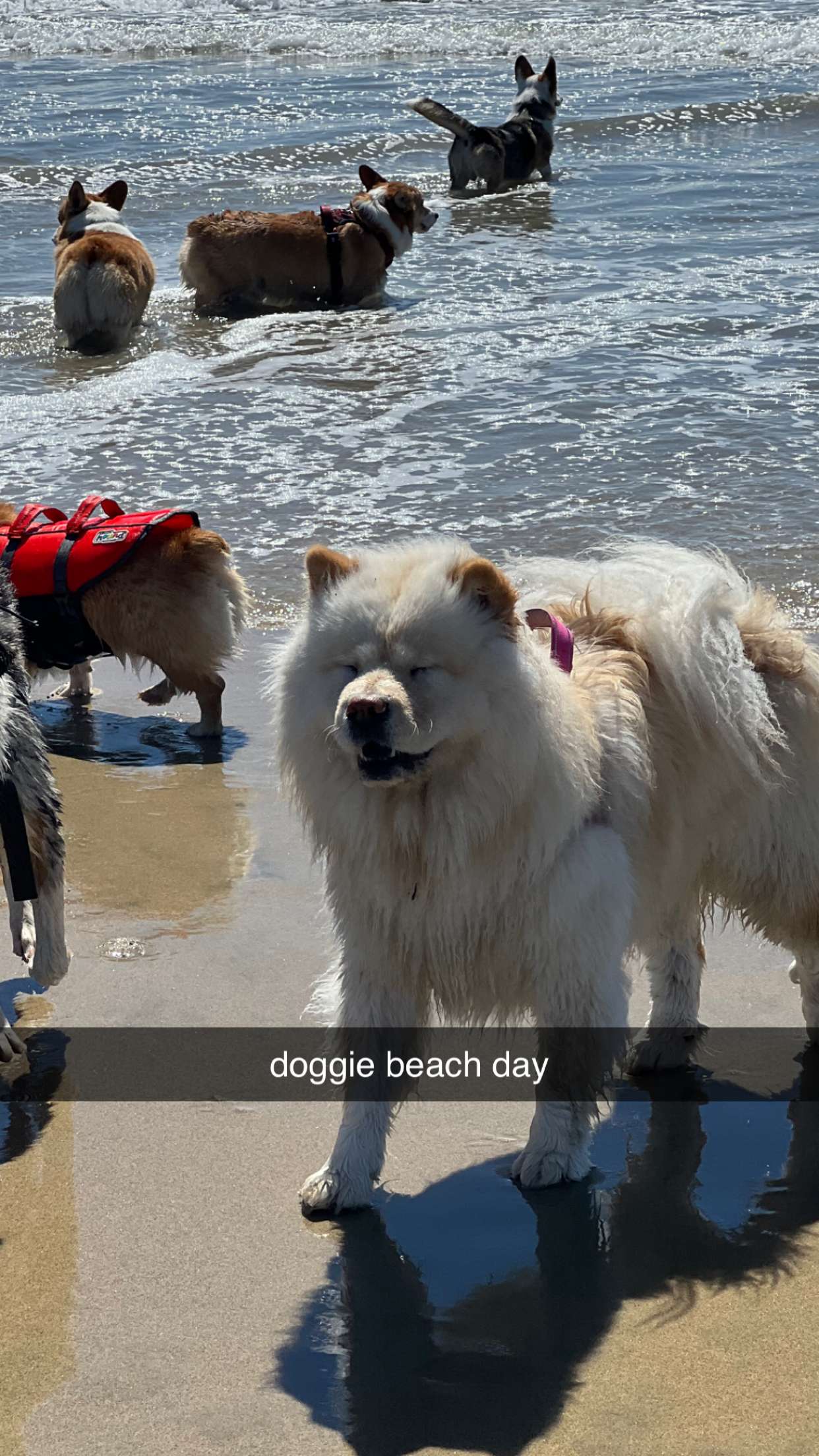 chloerosenbaum snapchat image archive image