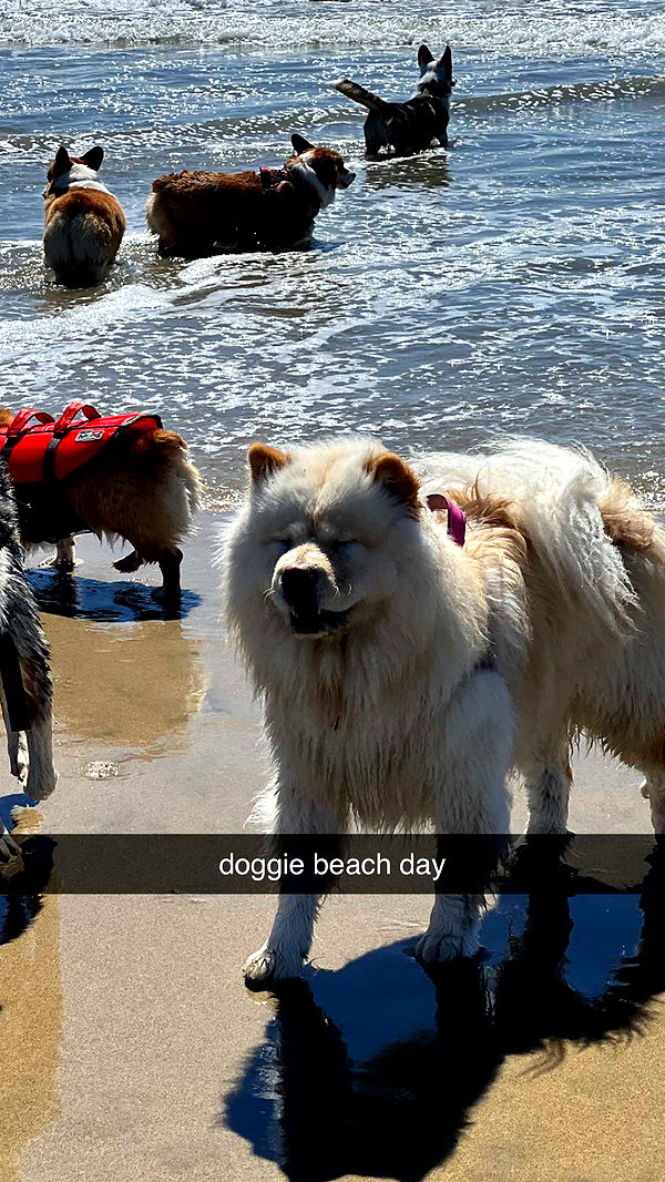 chloerosenbaum image ~ Altpins