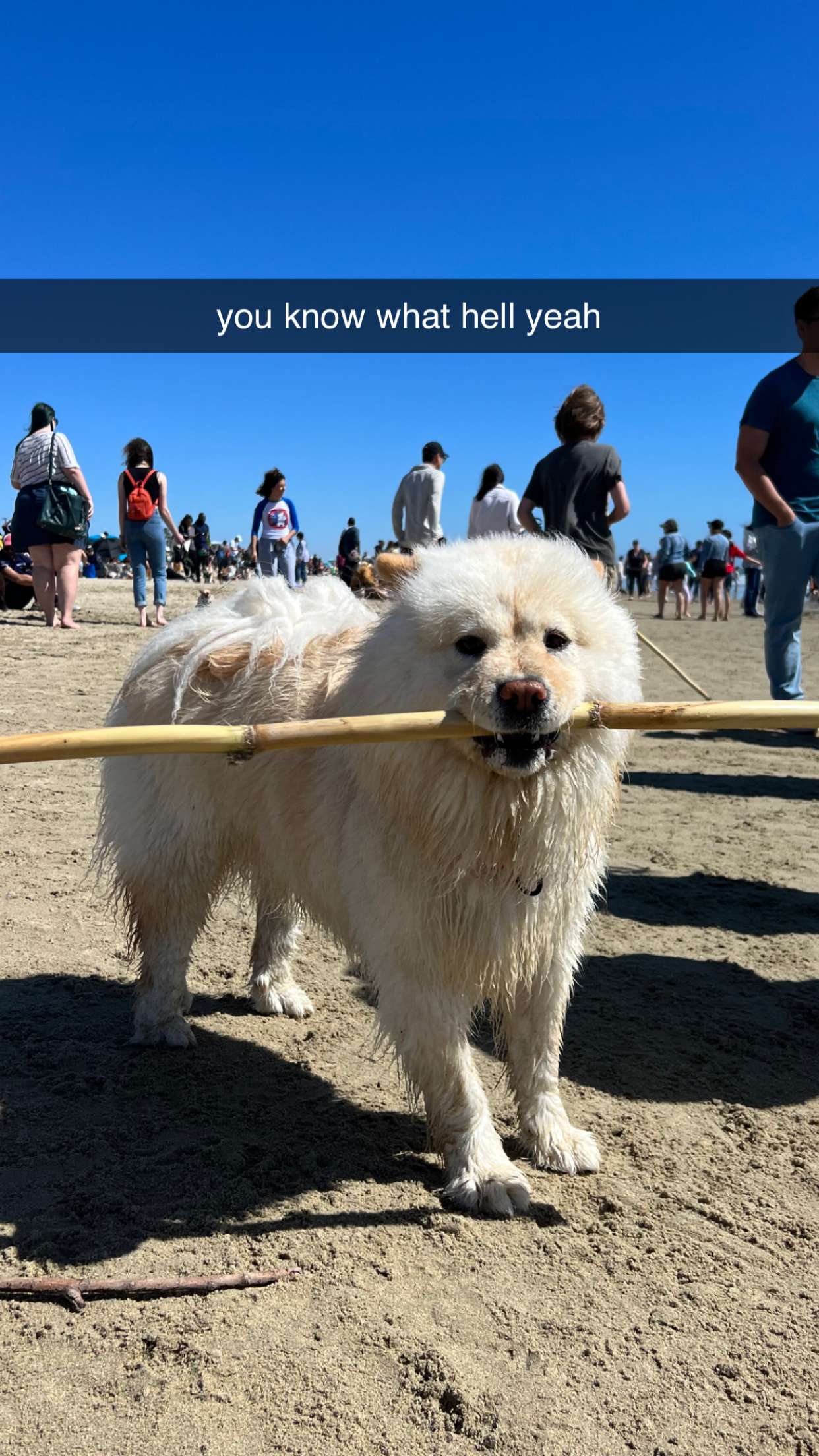 chloerosenbaum snapchat image archive image