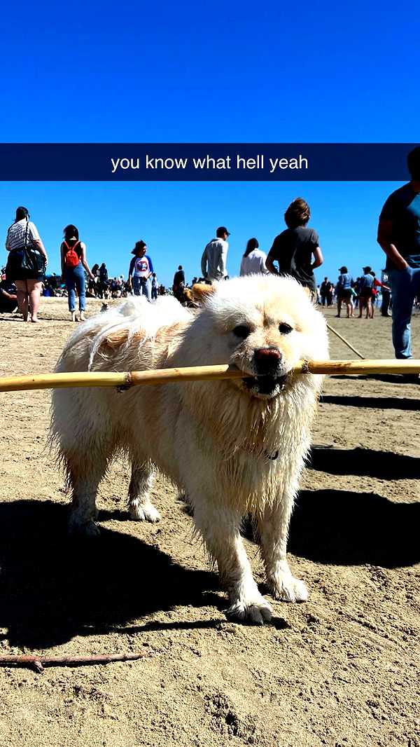 chloerosenbaum image ~ Altpins