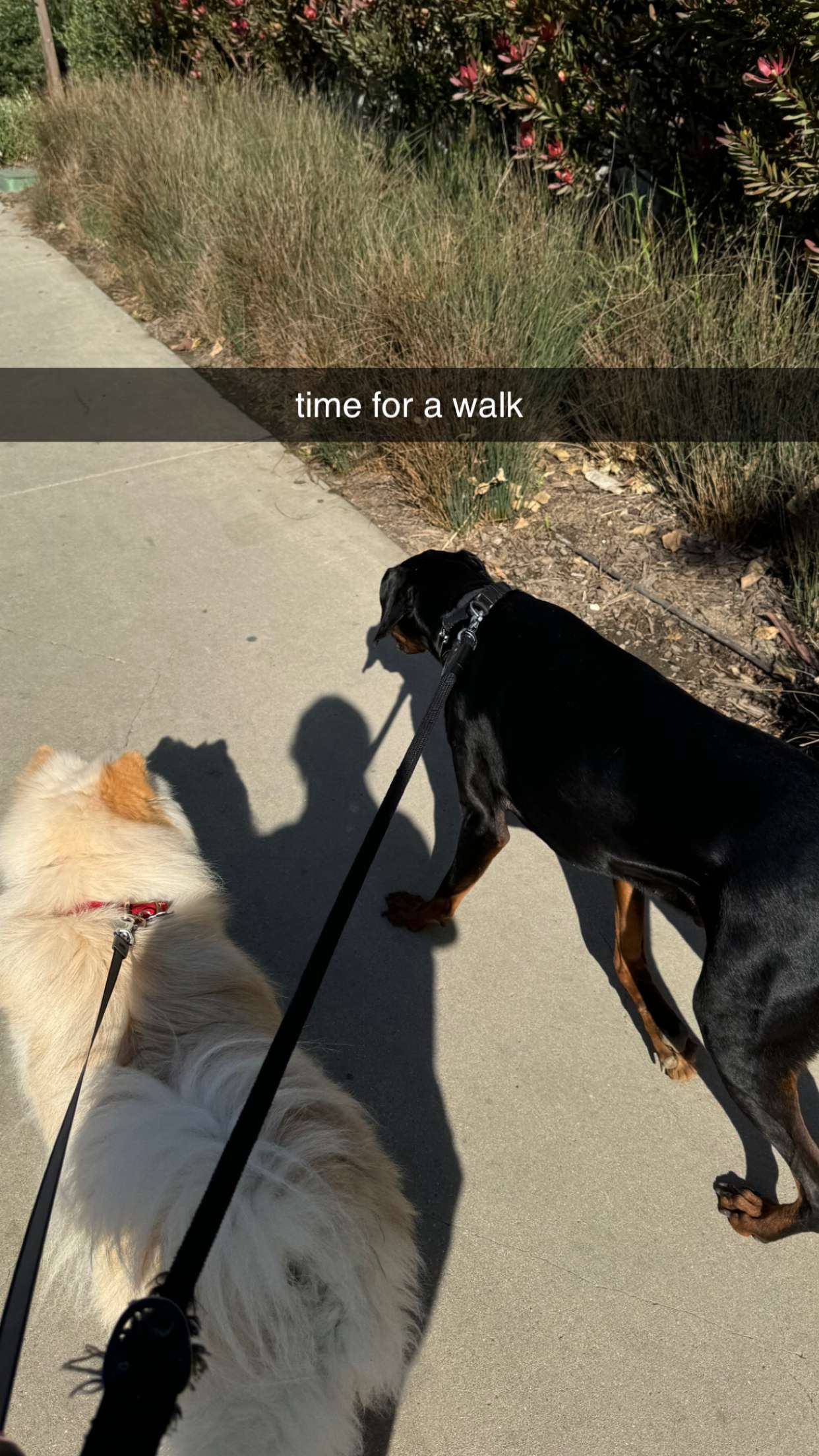 chloerosenbaum snapchat image archive image