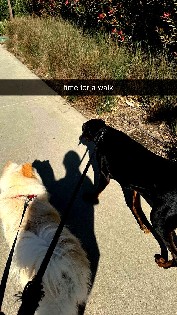 chloerosenbaum image ~ Altpins