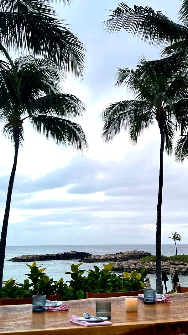 chloerosenbaum image ~ Altpins