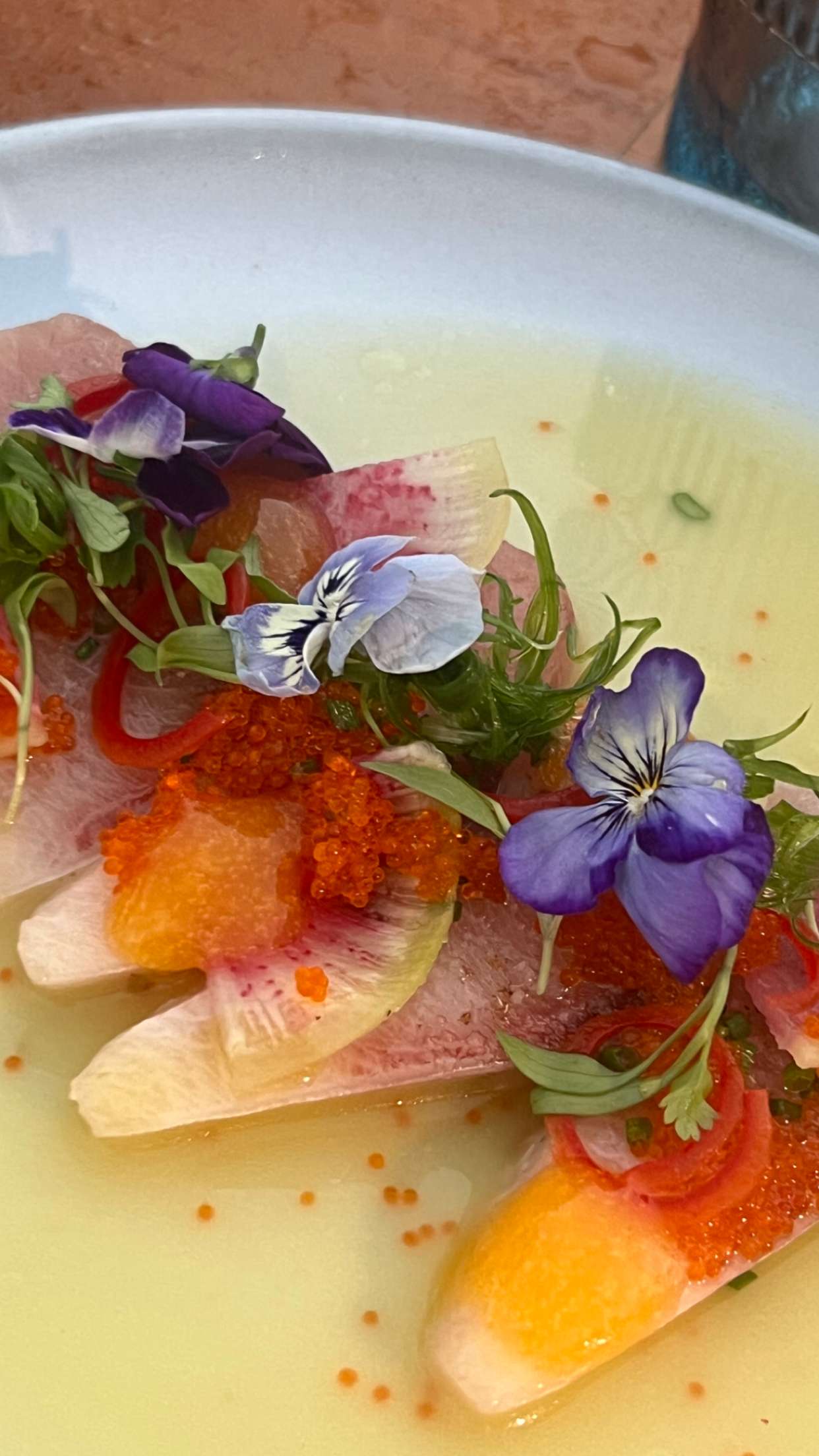 chloerosenbaum snapchat image archive image