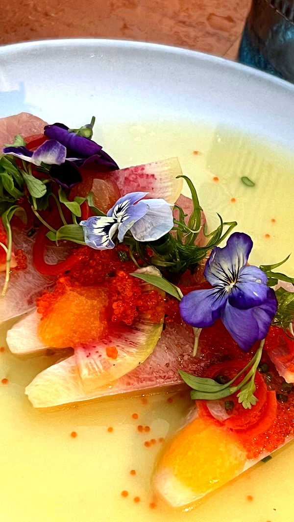 chloerosenbaum image ~ Altpins