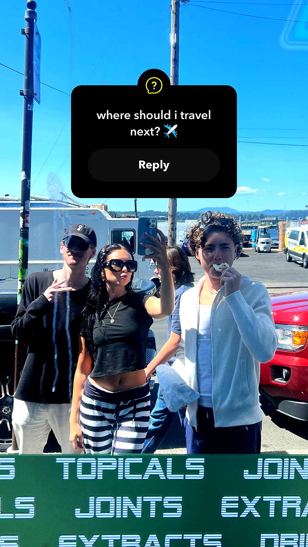 chloerosenbaum image ~ Altpins