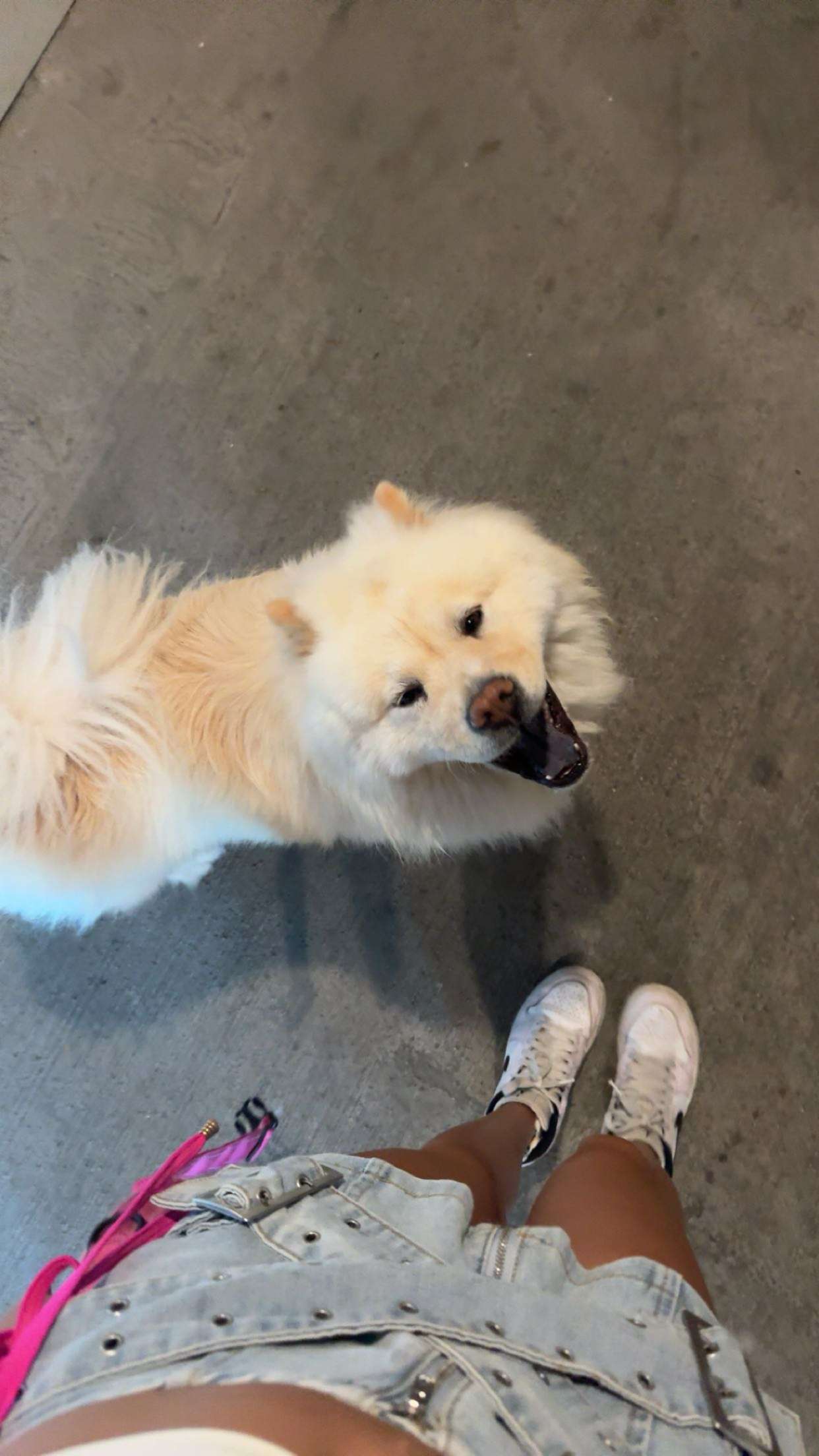 chloerosenbaum snapchat image archive image