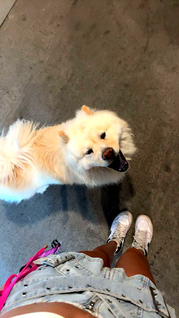 chloerosenbaum image ~ Altpins