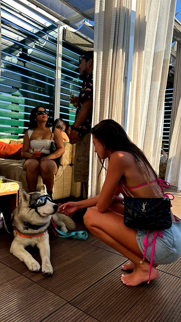 chloerosenbaum image ~ Altpins