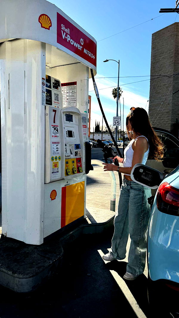 chloerosenbaum image ~ Altpins