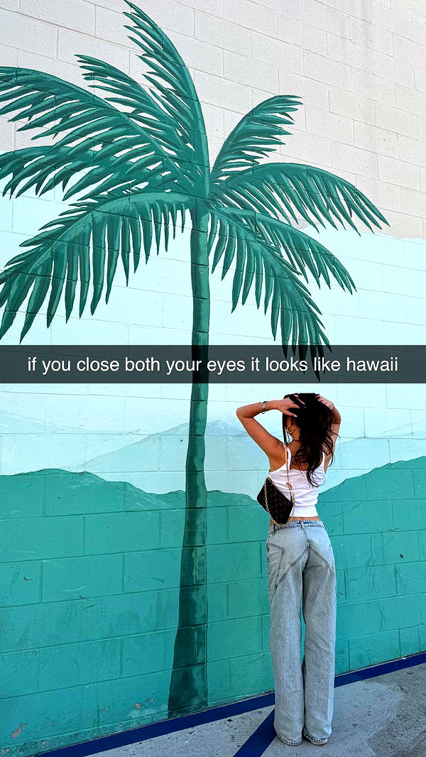 chloerosenbaum image ~ Altpins