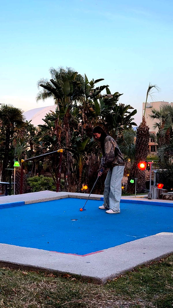 chloerosenbaum image ~ Altpins