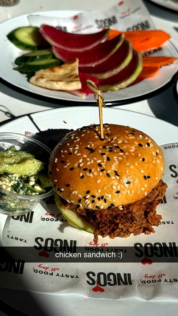 chloerosenbaum image ~ Altpins