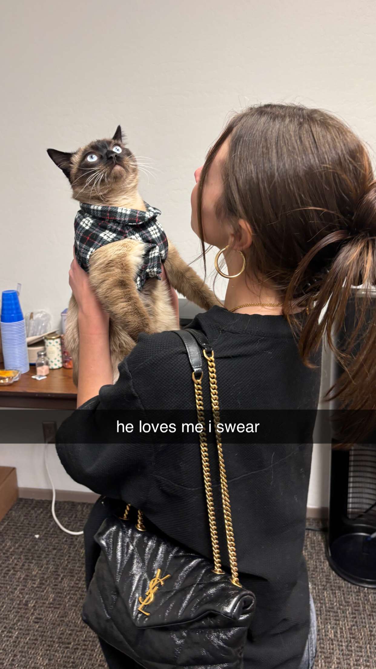 chloerosenbaum snapchat image archive image