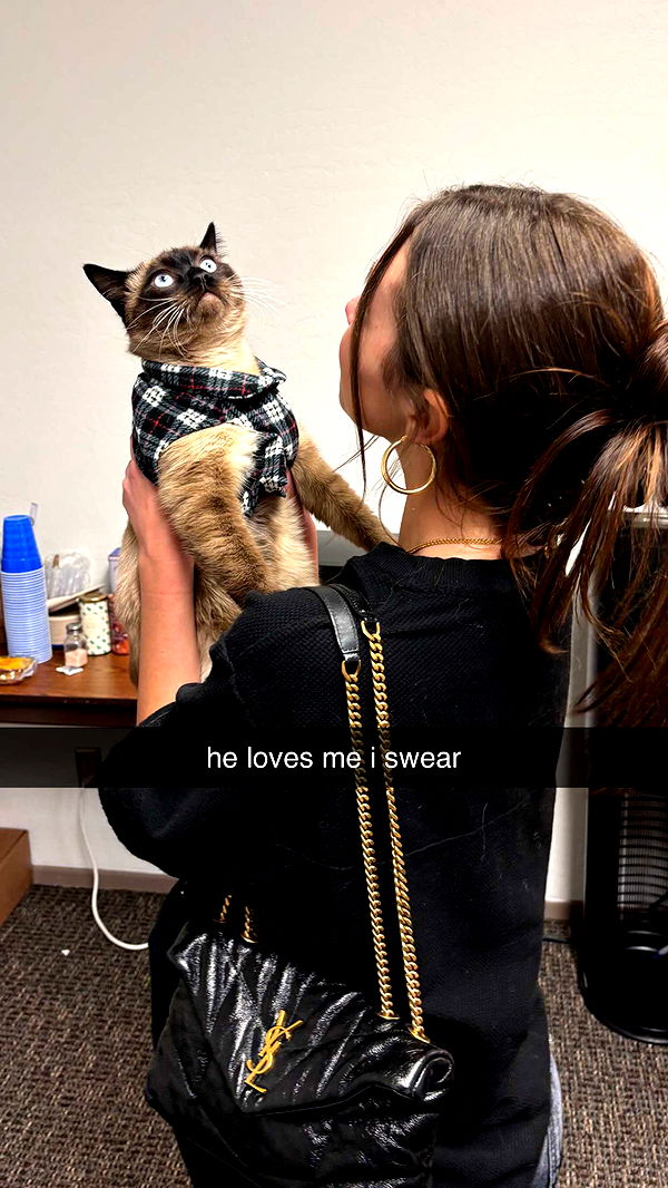 chloerosenbaum image ~ Altpins