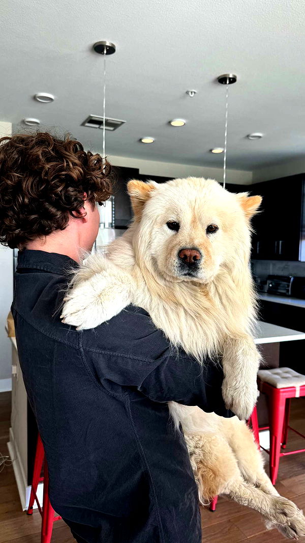 chloerosenbaum image ~ Altpins