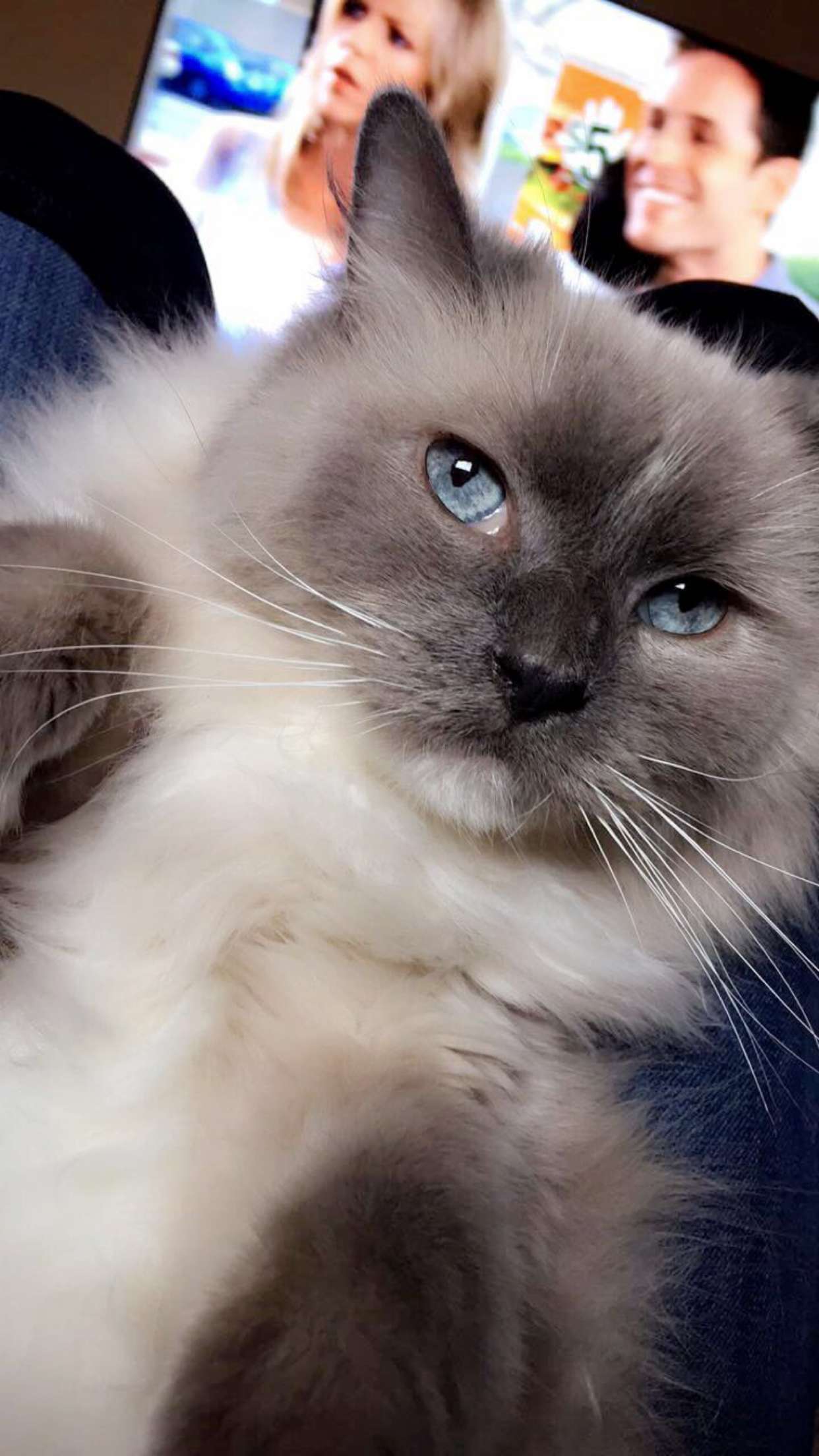 chloerosenbaum snapchat image archive image