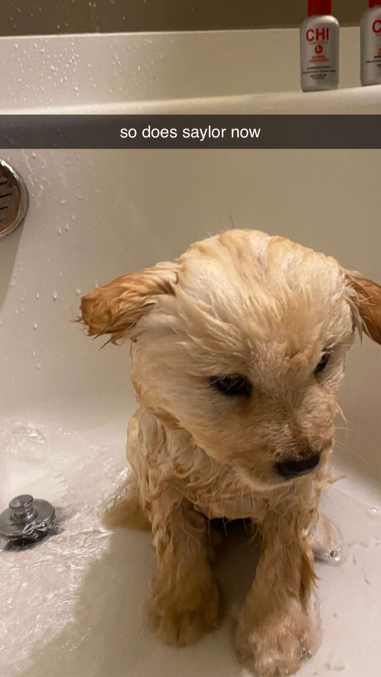 chloerosenbaum snapchat image archive image