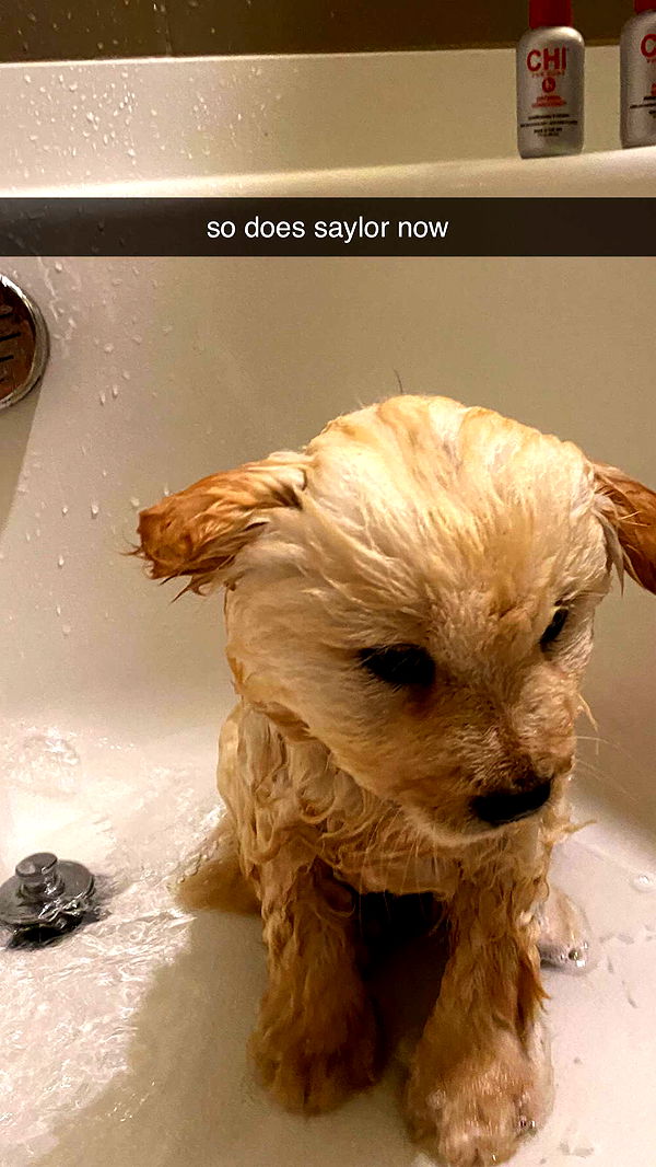 chloerosenbaum image ~ Altpins