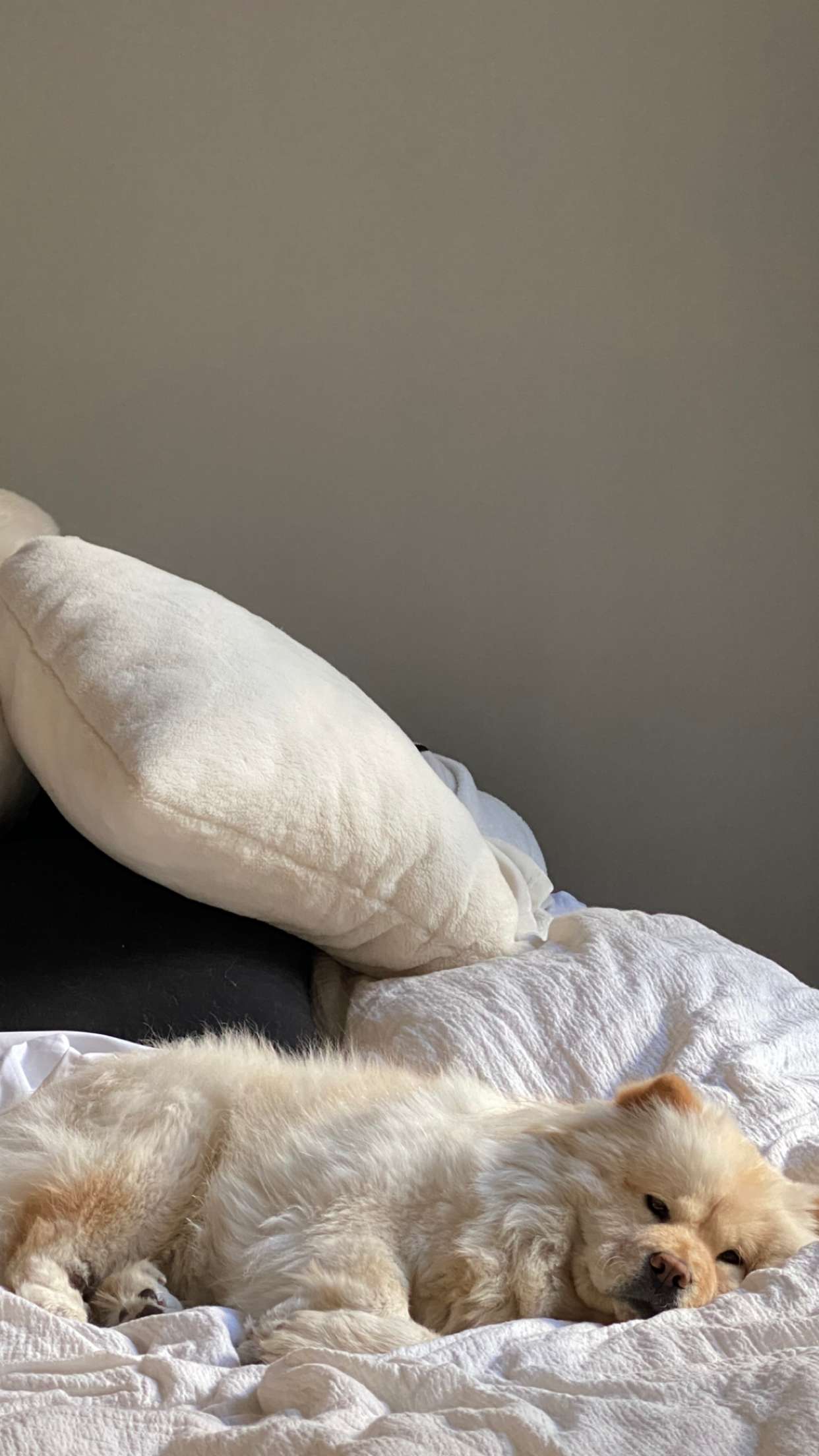 chloerosenbaum snapchat image archive image