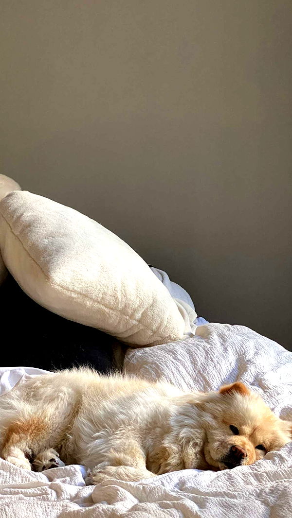 chloerosenbaum image ~ Altpins