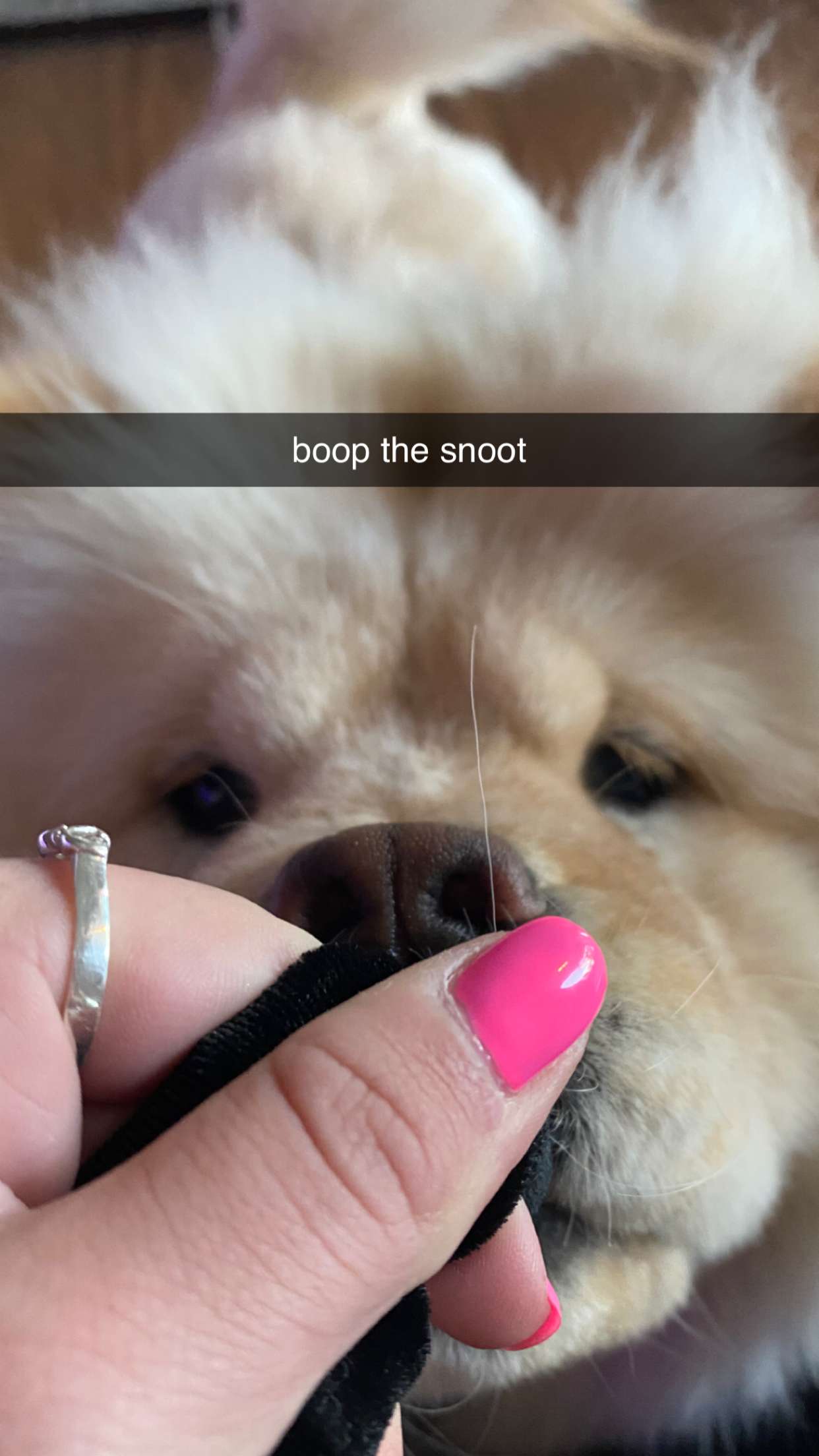 chloerosenbaum snapchat image archive image