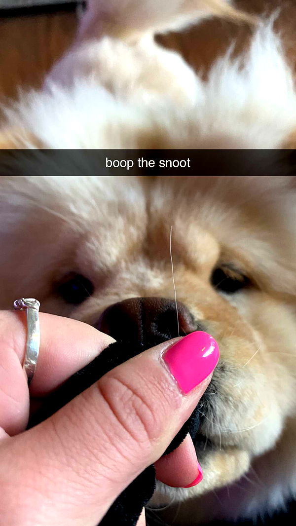 chloerosenbaum image ~ Altpins