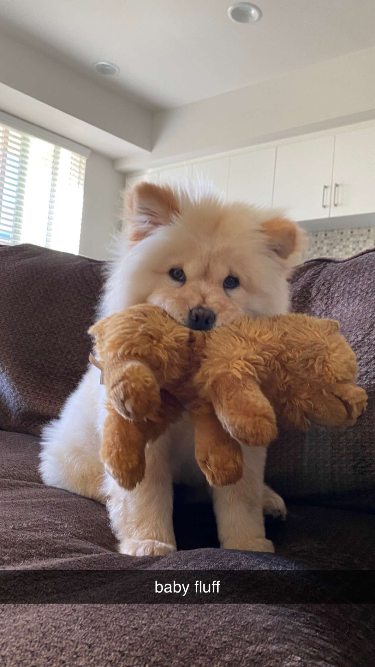 chloerosenbaum snapchat image archive image