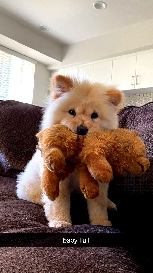 chloerosenbaum image ~ Altpins