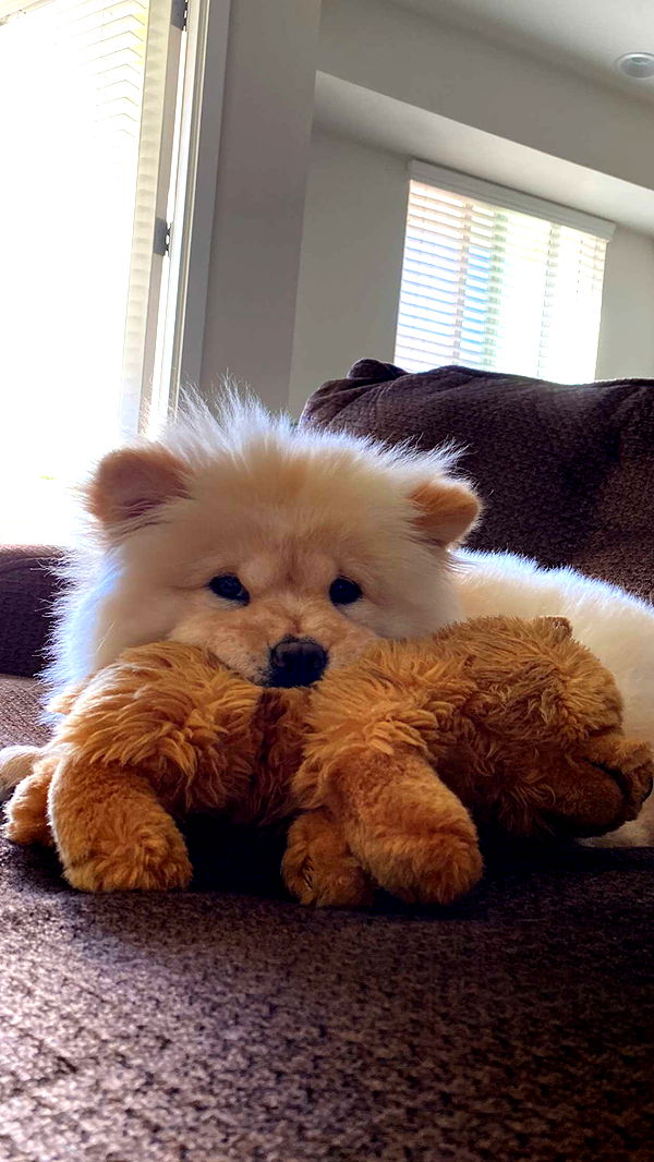 chloerosenbaum image ~ Altpins