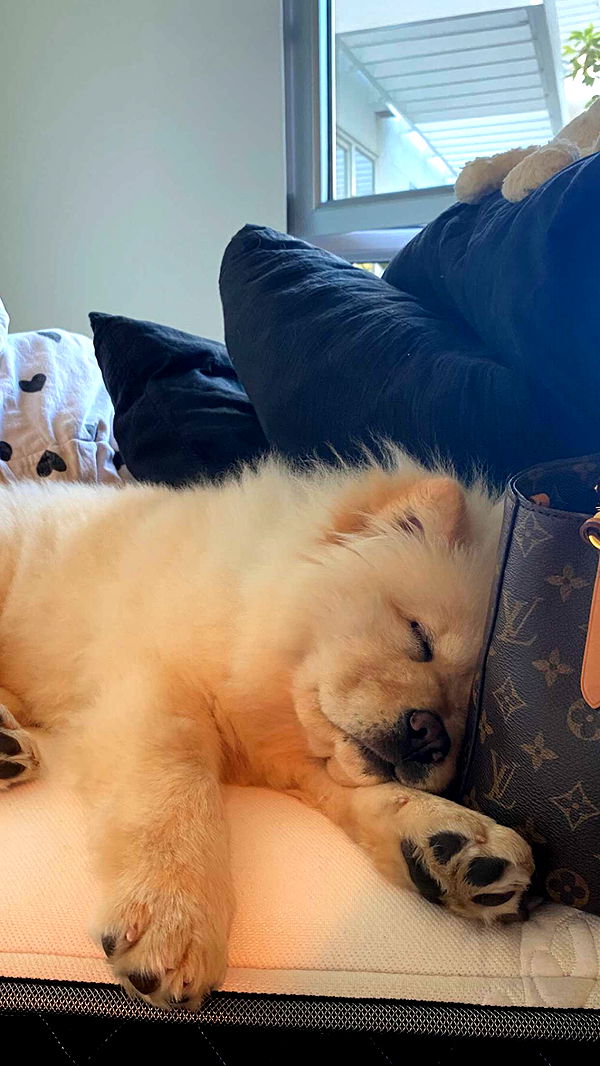 chloerosenbaum image ~ Altpins