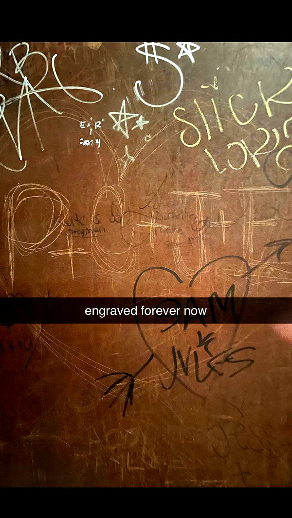 chloerosenbaum image ~ Altpins